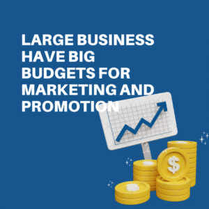 Large Business Have Big Budgets for Marketing and Promotion