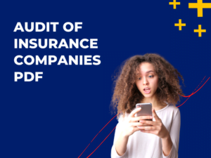 Audit of Insurance Companies PDF